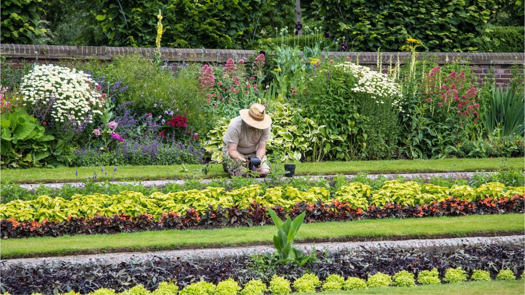 jardin_4